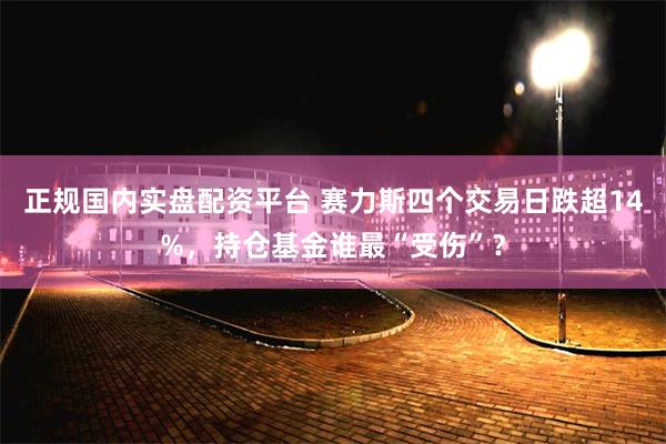 正规国内实盘配资平台 赛力斯四个交易日跌超14%，持仓基金谁最“受伤”？