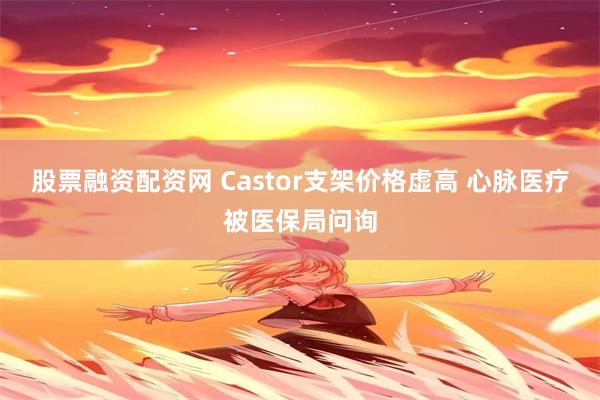 股票融资配资网 Castor支架价格虚高 心脉医疗被医保局问询