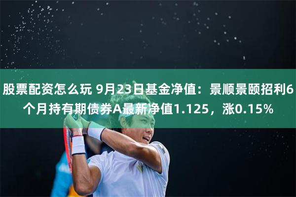 股票配资怎么玩 9月23日基金净值：景顺景颐招利6个月持有期债券A最新净值1.125，涨0.15%