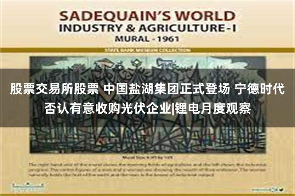 股票交易所股票 中国盐湖集团正式登场 宁德时代否认有意收购光伏企业|锂电月度观察