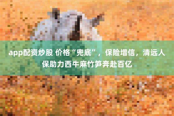 app配资炒股 价格“兜底”，保险增信，清远人保助力西牛麻竹笋奔赴百亿