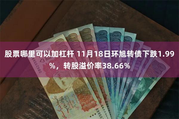 股票哪里可以加杠杆 11月18日环旭转债下跌1.99%，转股溢价率38.66%